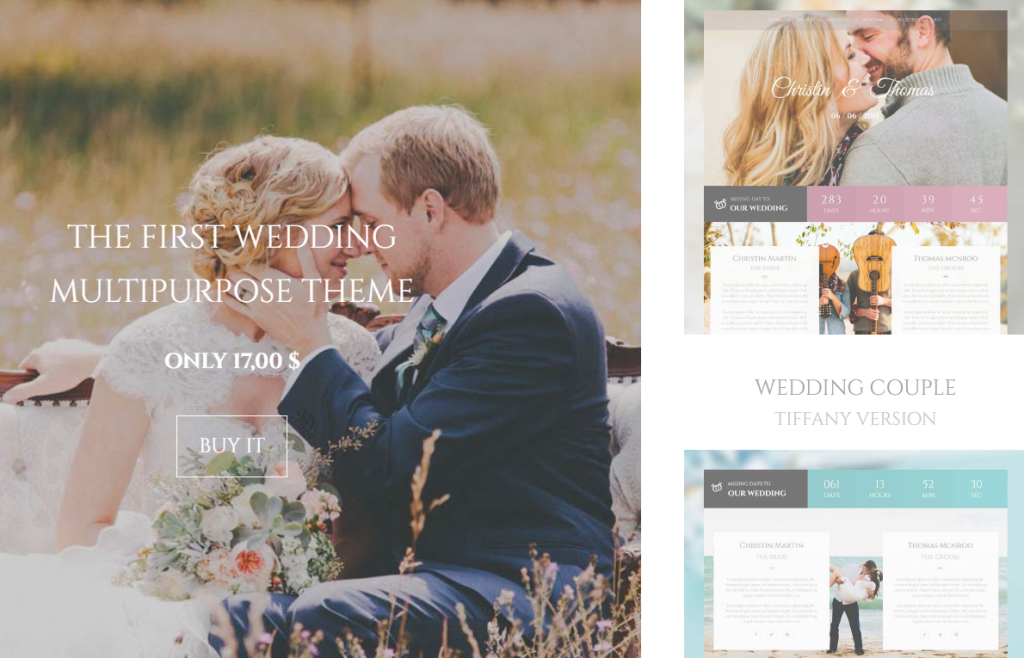 How Much Do Wedding Websites Cost?