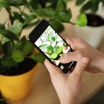 Apps to Identify Plants