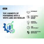 white label seo